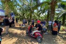 Mediasi Alot di Desa Linggar Galing, PT Barhad Langin Perkasa Keberatan Ganti Rugi Rp30 Juta per Warga