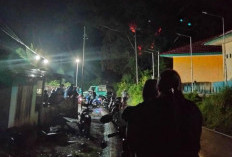 Sempat Bikin Panik, Kebakaran Pohon Karet Terjadi di Depan SMPN 13 Bengkulu Tengah