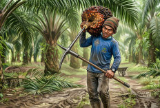 Pemprov dan PKS Sepakat Stabilkan Harga Sawit, TBS Bengkulu Tengah Diproyeksikan Tembus Rp3.000