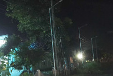 Sejumlah Lampu Program Berbinar Padam, Plt Kadis: Kemungkinan Korsleting