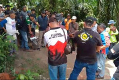 Picu Polemik, PT Bio Nusantara Klaim Pembangunan Siring Gajah Sesuai Regulasi