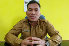 Bantu Padamkan Kebakaran Hingga Evakuasi Ular, Kadis: Damkar Bengkulu Tengah Siap Dihubungi Kapan Saja