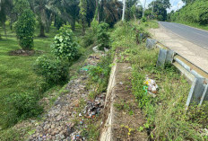 Kondisi Terkini Lokasi Pembuangan Sampah Sembarangan di Jembatan Taba Mutung