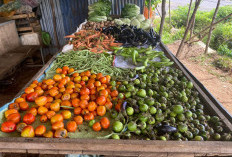 Update Harga Sembako Bengkulu Tengah: Ayam Merangkak Naik, Bahan Pokok Lain Relatif Aman