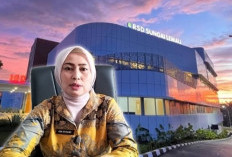 Ida Riyani Siap Jadikan Kritik Bahan Evaluasi, Simak Juga Sederet Peningkatan Layanan di RSD Sungai Lemau