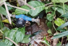 Perumda Tirta Raflesia Perbaiki Meteran Rusak, Warga Keluhkan Air Sering Mati dan Keruh