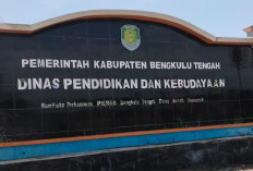 Pengadaan Meubelair di Dinas Dikbud Rp800 Jutaan, Ada SD Tak Kebagian, Kepsek: Kami Tidak Menerima