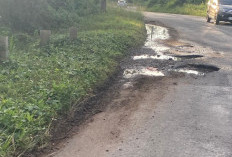 Jalan Berlubang di Talang Empat Ancam Keselamatan, Pengendara Nyaris Celaka