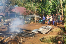 Diduga Korsleting Listrik, Dua Rumah Warga Desa Tiambang Ludes Dilalap Api