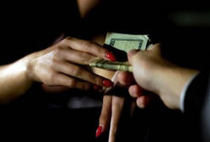 Dugaan Praktik Perdagangan Orang Muncul Lagi di Kawasan Liku Sembilan Bengkulu Tengah, Begini Faktanya