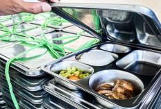Dugaan Keracunan MBG Jadi Sorotan, Aktivis Minta Seluruh Dapur SPPG Bengkulu Tengah Disidak