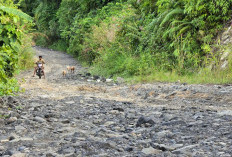 Kades Kota Niur Usulkan Pinjam Alat Berat, Warga Dukung Perbaikan Akses Jalan