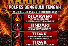 Nekat Bakar Hutan dan Lahan di Benteng? Siap-Siap Dibui 15 Tahun dan Denda Rp5 Miliar!