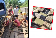 Jembatan Kayu Rusak Parah, Siswa SDN 47 Bengkulu Tengah Gotong Royong Angkat Omprengan MBG