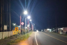 Pengadaan Lampu Berbinar di Dinas Dikbud Bengkulu Tengah Bernilai Miliaran Dilirik APH