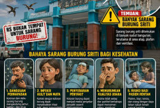 RSD Sungai Lemau Dipenuhi Sarang Burung, Aktivis LSM Minta Bupati Evaluasi Direktur