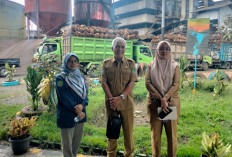 Dinas Pertanian Turun ke PKS, Harga Sawit Bengkulu Tengah Mulai Merangkak Naik Menuju Rp3.000/Kg