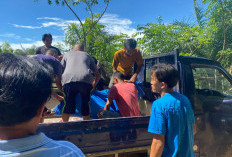 Geger! Pria Asal Desa Lagan Bungin Bengkulu Tengah Meninggal Dunia Usai Membelah Kayu