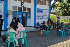 Ombudsman Buka Posko Pengaduan SPMB 2026, Soroti Gangguan Aplikasi Pendaftaran