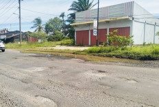 Kondisi Jalan Lintas Barat di Pondok Kelapa Memburuk, Perbaikan Tambal Sulam Disorot