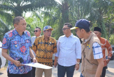 Tinjau Jalan Tanjung Terdana–Harapan Makmur, Bupati Rachmat Tunjukkan Komitmen Pembangunan Bertahap