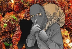 Ninja Sawit Kian Meresahkan, Petani Mengaku Rugi hingga Satu Hektare