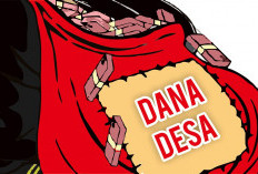 Dugaan Penyimpangan di Salah Satu Desa Wilayah Kecamatan Pondok Kubang: Dana Desa Rp632 Juta Jadi Sorotan