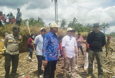 Abrasi Ancam Pemukiman dan Jalur Bengkulu–Sumbar, DPRD Provinsi Turun Langsung ke Pondok Kelapa