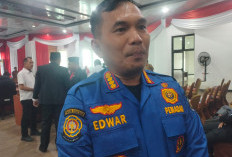 Tangani 46 Titik Api Selama Agustus-September, Damkar Bengkulu Tengah Sebut Karhutla Rata-rata Parah