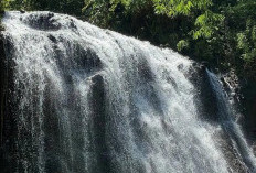 Diminta Hidupkan Kembali Wisata Curug Cai, Kades Bukti Sentil Dinas Perihal Ini