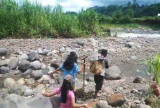 Jembatan Gantung Putus, Petani Taba Penanjung Terpaksa Jalan Kaki Seberangi Sungai