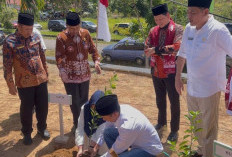 Calon Pengantin di Bengkulu Tengah Diminta Tanam Pohon Sebelum Menikah, Ini Tujuannya
