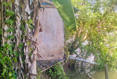 Abrasi Mengancam Permukiman, Camat Pondok Kelapa Serukan Kolaborasi Penanganan