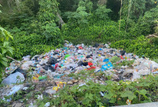 Diduga Dibuang Diam-Diam pada Malam Hari, Sampah Liar Cemari Kawasan Jembatan Taba Pasmah