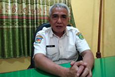 Harga Sawit Bengkulu Tengah Anjlok hingga Rp600 per Kg, Dinas Pertanian Turun Tangan