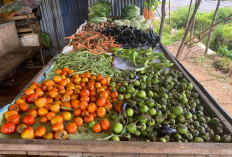Memasuki Pertengahan Puasa, Harga Cabai Merah Turun Drastis, Ayam Potong Ikut Melemah