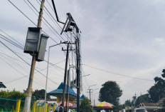 Billboard Miring di SMPN 1 Bengkulu Tengah Belum Diperbaiki, Cuaca Jadi Kendala