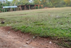 Pemdes Pasar Pedati Sediakan Lahan Parkir untuk Dongkrak PAD Desa